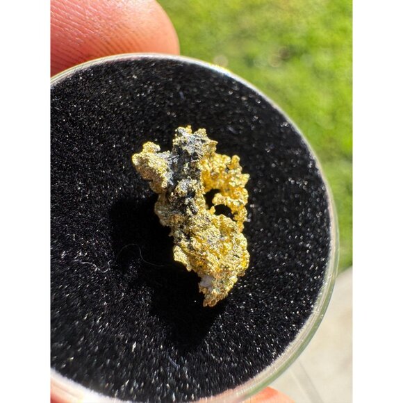 California Native Gold Crystal - 0.80 grams - Picture 4 of 6